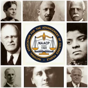 The Origins of the NAACP: Allies, Money, and the Struggle for Civil Rights